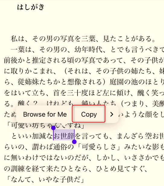 Image in a image block